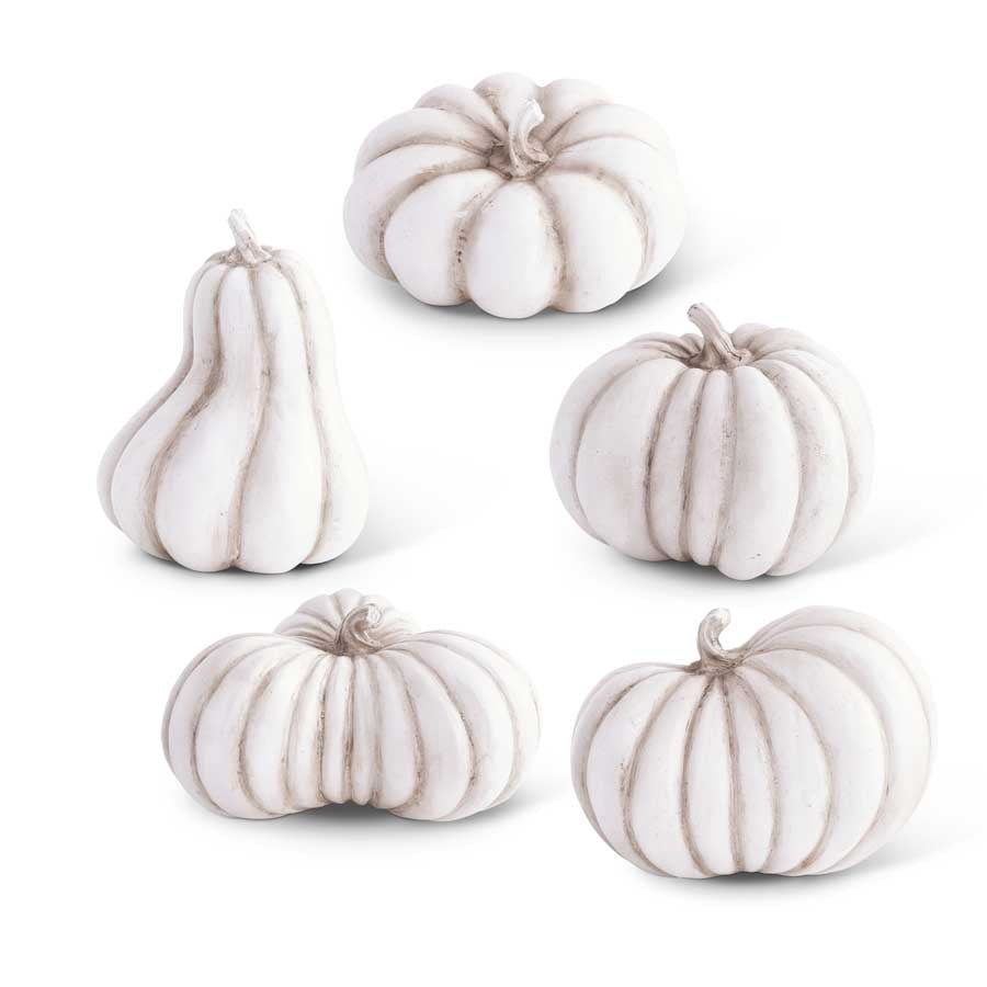 White Assorted Pumpkins