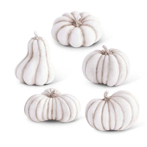 White Assorted Pumpkins