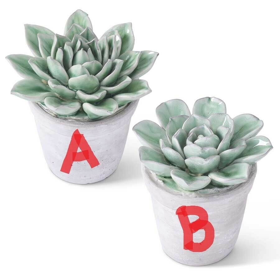 5.5" Dark Green Ceramic Round Petal Succulents in Gray Pot! Two Styles!