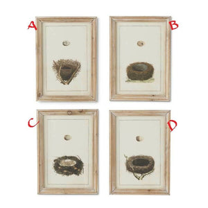 Assorted Nest Prints w/Wood Frames! Four Styles!