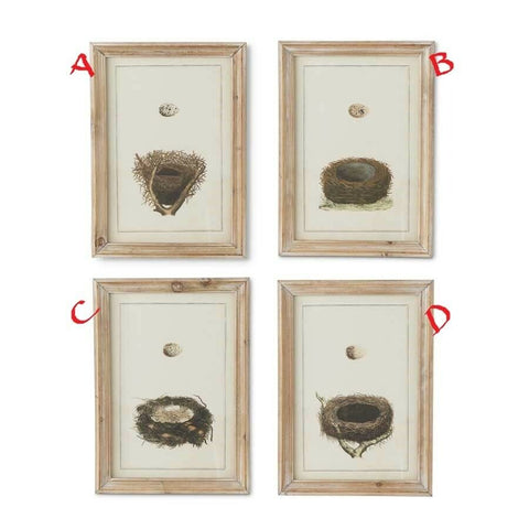 Assorted Nest Prints w/Wood Frames! Four Styles!