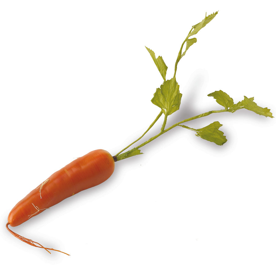 17 Inch Orange Long Carrot