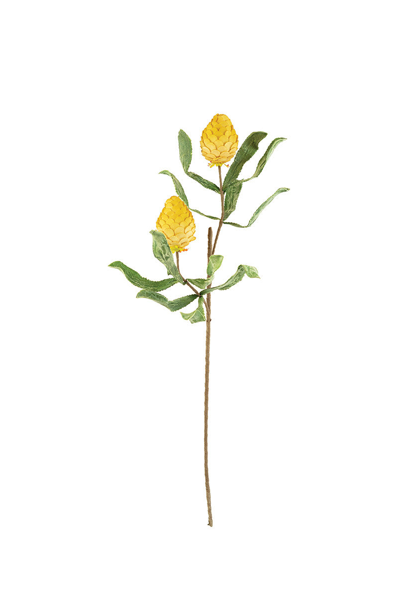 Yellow Botanica - 3218