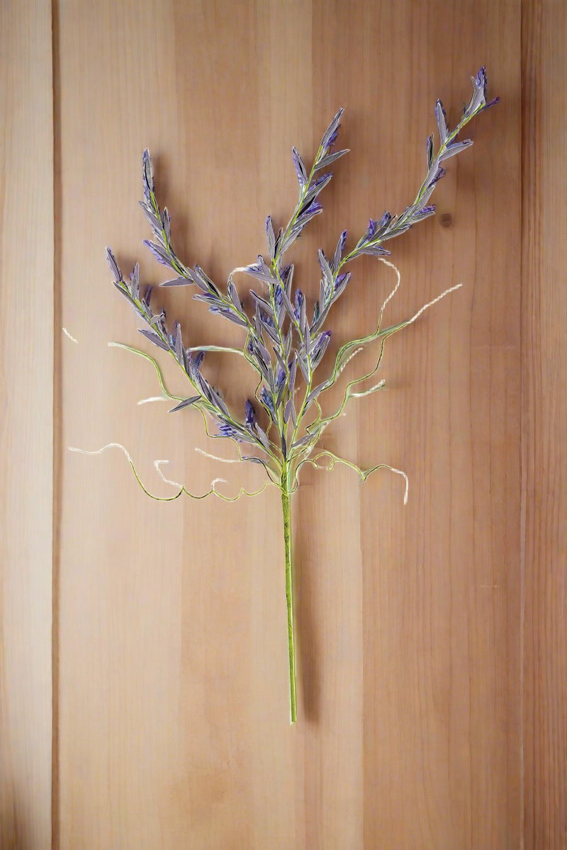 Purple Botanica #2505