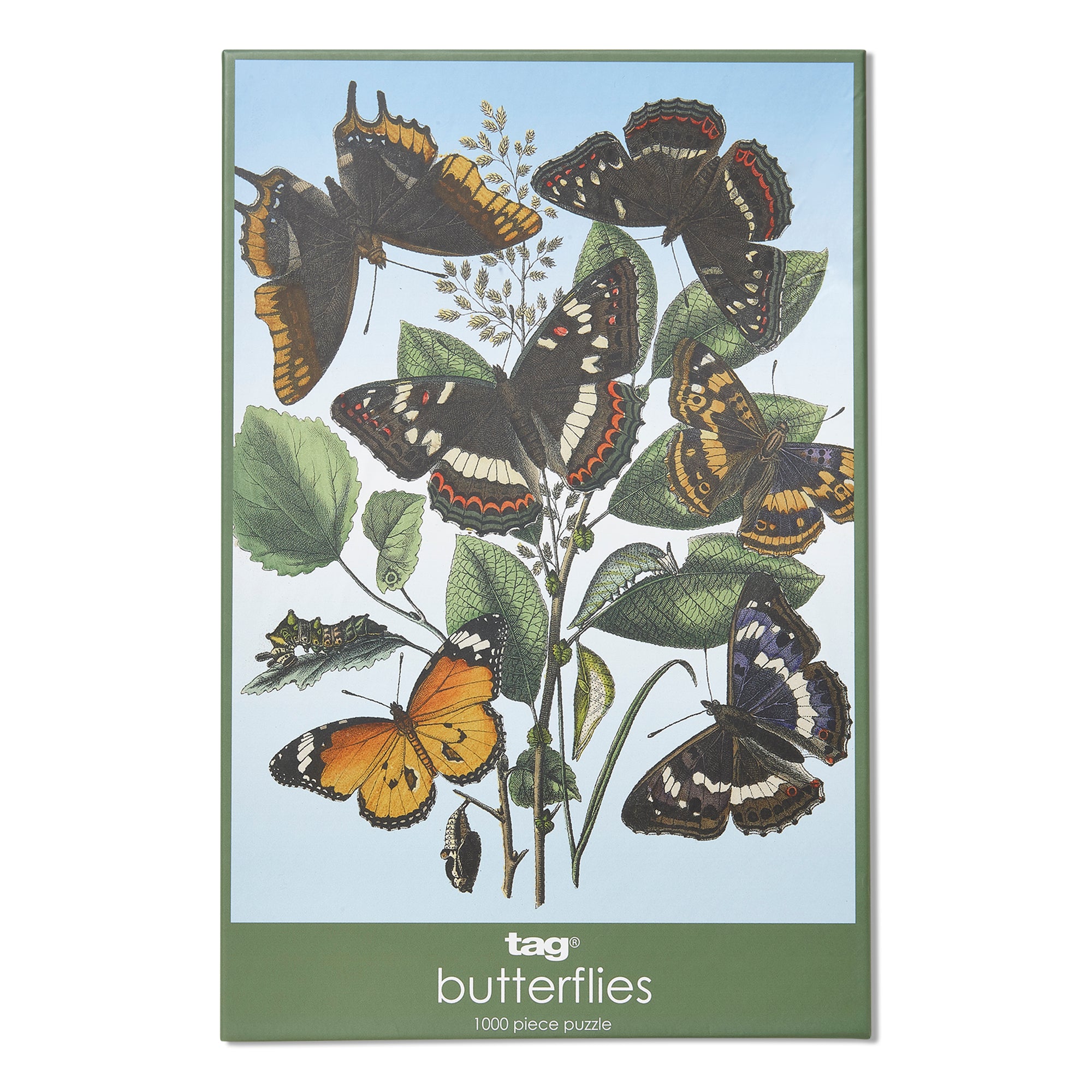 Tag Butterflies Puzzle