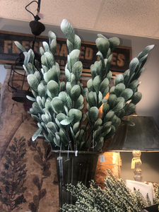 Tall Green stems with rounded leaves & frosted tips