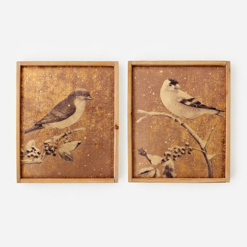 Framed Bird Print- 2 Styles!!