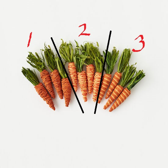 Set of Four Carrots! Three Styles!