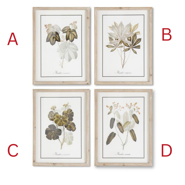 Manihot Tree Prints w/Whitewashed  Fir Wood Frame - 4 Styles