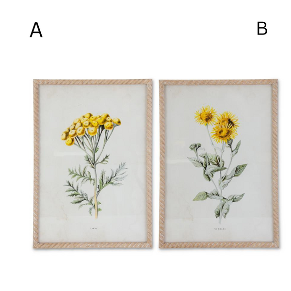 Assorted Yellow Floral Prints in Whitewashed Spiral Frames - 2 Styles