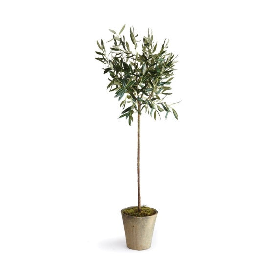 Olive Tree Potted  46"