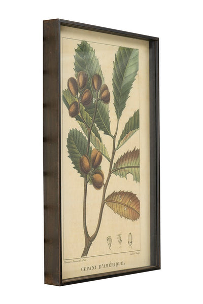 Metal Framed Wall Decor w/ Vintage Reproduction Botanical Print! Two Styles!