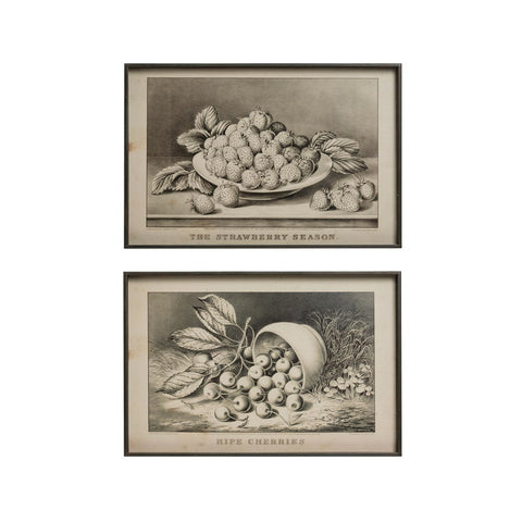 Metal Framed Wall Decor w/ Vintage Reproduction Fruit Print!!! TWO OPTIONS!!!