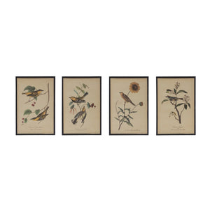 11-3/4"H Wood Framed Birds 4 Styles