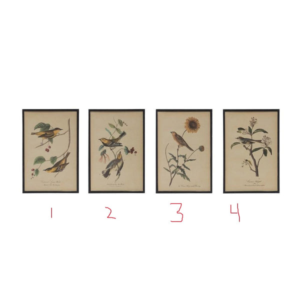 11-3/4"H Wood Framed Birds 4 Styles