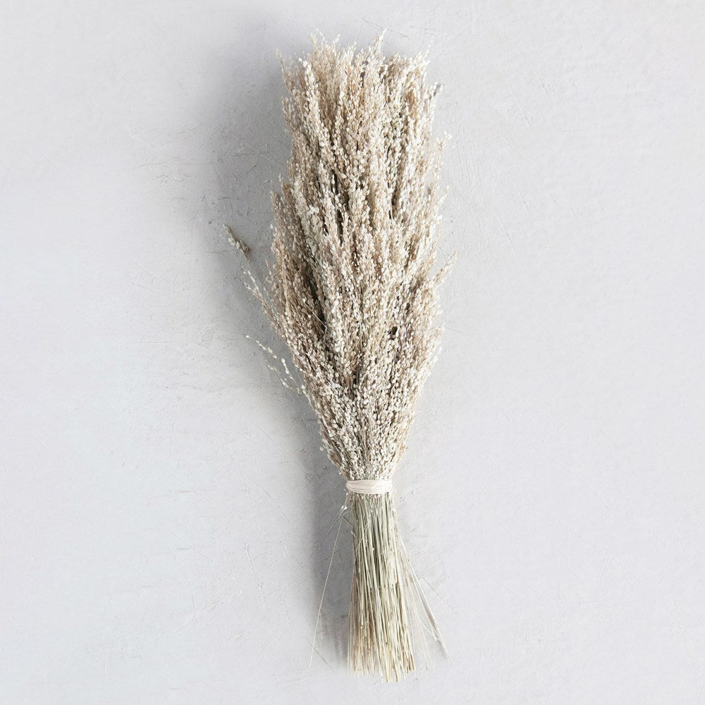 19-3/4"H Dried Natural Star Grass Bunch! PICK UP ONLY!