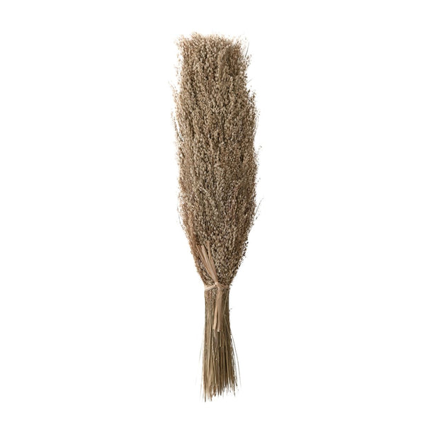 19-3/4"H Dried Natural Star Grass Bunch! PICK UP ONLY!