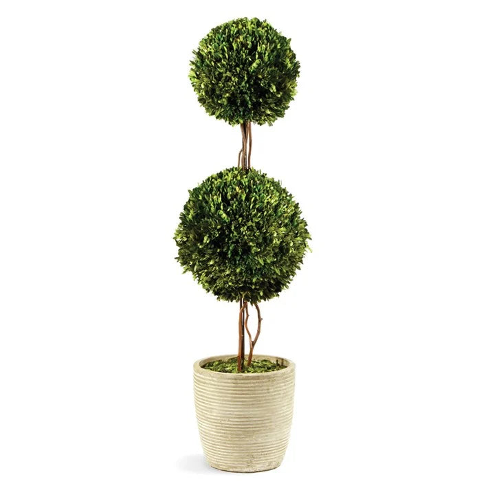 Boxwood Double Sphere Topiary- Pick Up Only